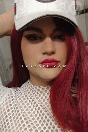 escorte girl trans rennes|Escort Trans Rennes